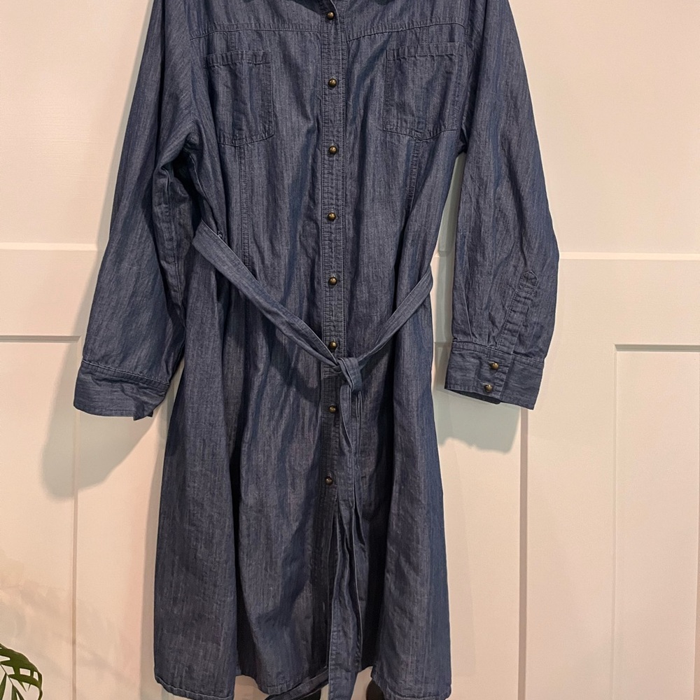 Denim is all the rage. Woman’s Size 20 denim dress with belt